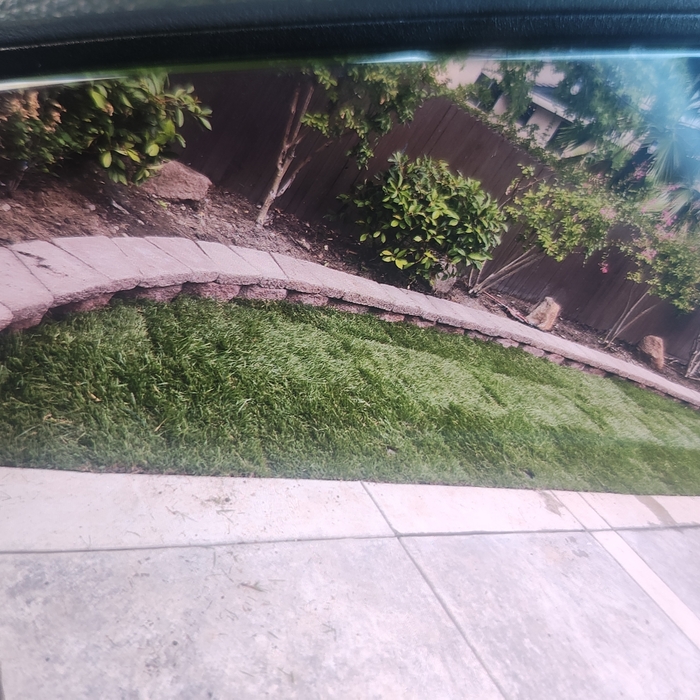 Additional Photos