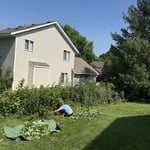 Thick Weed removal