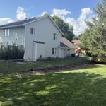 Thick Weed removal