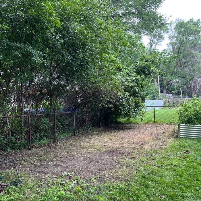 Thistle and weed removal
