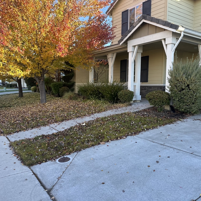 Landscaping Project