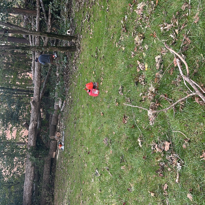 Tree Service Project