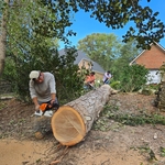 Tree Service Project