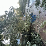 Tree Service Project