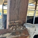 Broken horse fence bracket