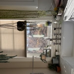Housecleaning Project