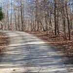 Driveway mulching