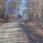Driveway mulching