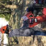Stump Grinding