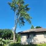 Parsons KS