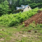 A few hours into the project we had removed a portion of the stumps and undergrowth.