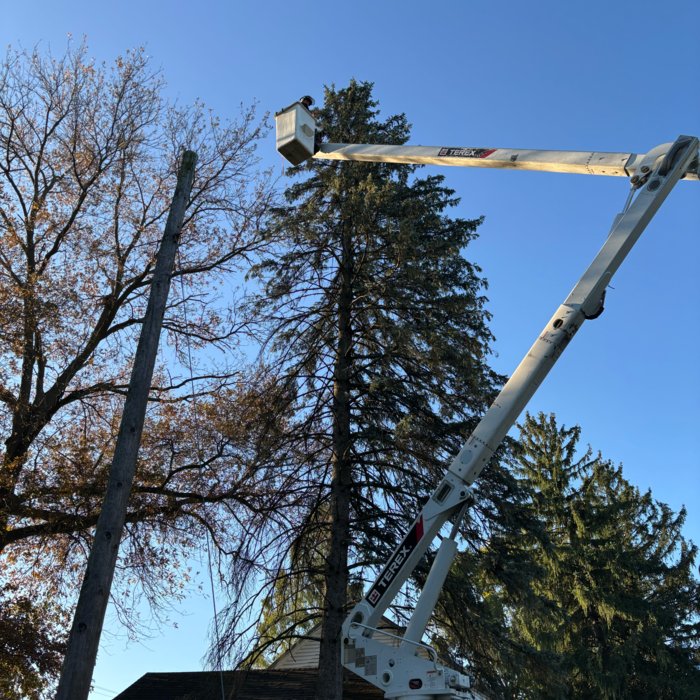 Additional Photos