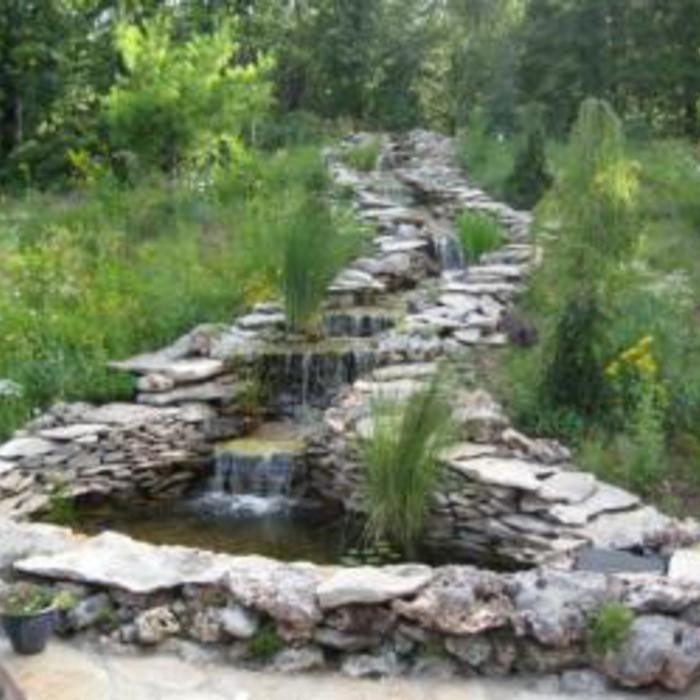 Waterfall in the Woods