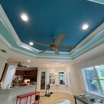 Painting - Interior Project