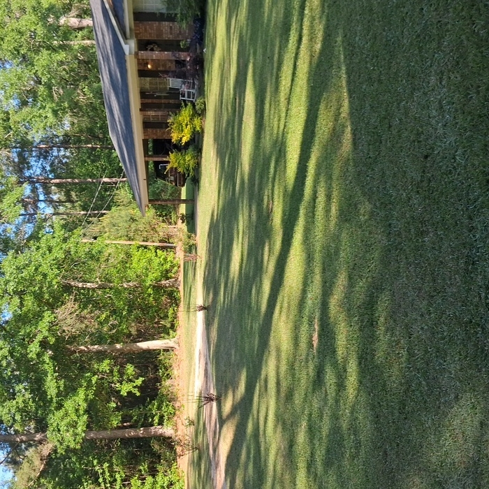 Lawncare