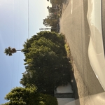 Tree Service Project