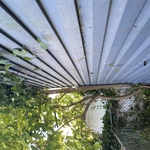 Villas yard clean up