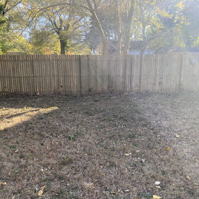 Brush clearing