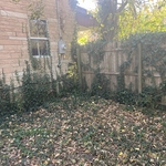 Brush clearing