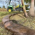 A close-up shot of the almighty Macedonian Curb, complimented by a palm tree. The Macedonian is a Rich & full, deep color layered, Natural Stone textured concrete edging design. There is nothing else in the world of landscaping that captures the raw beauty of our enhanced Macedonian Curb. Currently ranked as the #1 most favored curb design by our customers.