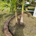 Macedonian Concrete edge curbing border + Natural Stone + West Coast Curbing Florida + https://bit.ly/m/westcoastcurbing