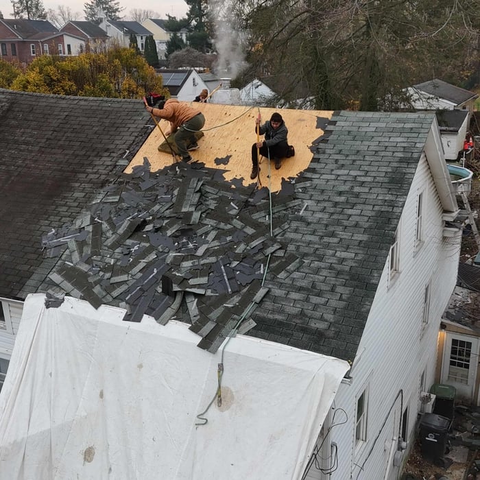 Shingle Roof Replacement