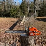 3 trees in Oxford