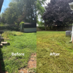 Before and After