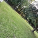 Now