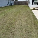 Mow