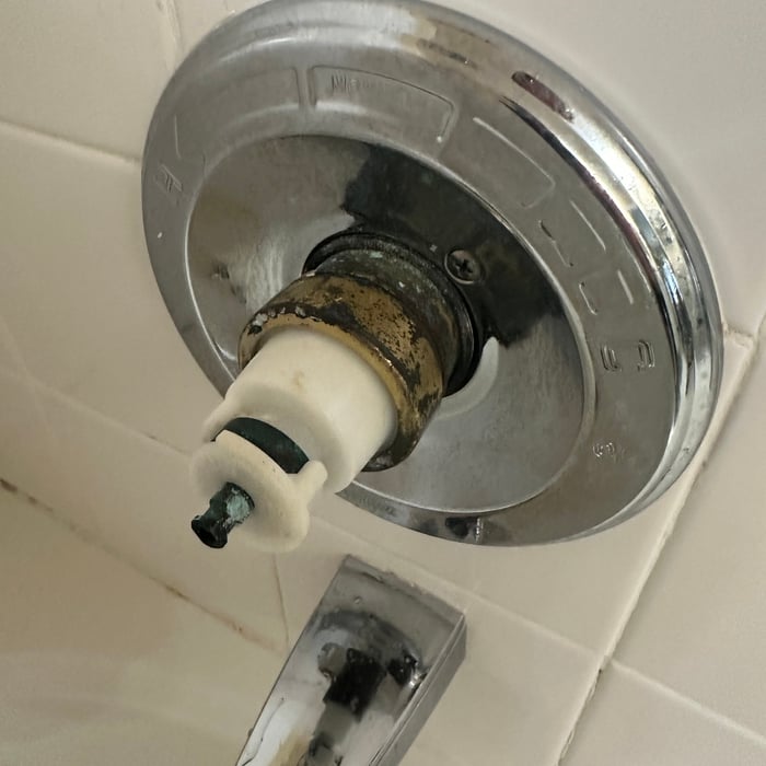 Shower Cartridge