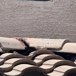 Roof Inspection