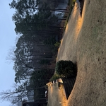 Landscape Lighting