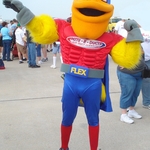 FLEX