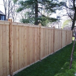 Western Red Cedar