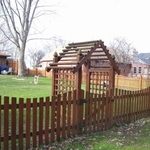 Western Red Cedar