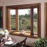 SoftLite Window