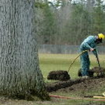 Davey arborists use the latest techniques and technology to provide expert tree care.