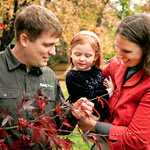 Your local Davey arborist is committed to providing both expert tree advice and exceptional service.