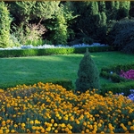 LANDSCAPE DESIGN AND INSTALLATION