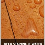 DECK STAINING AND WATER PROOFING/SEALING