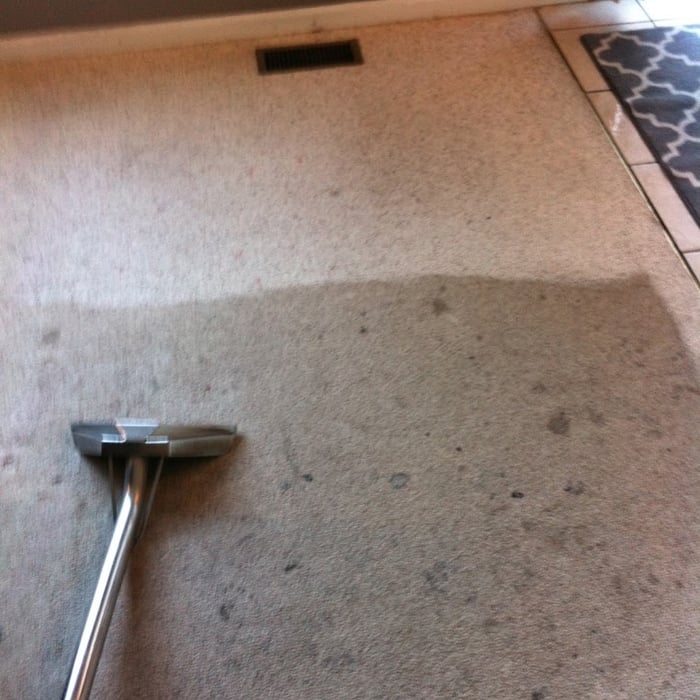 Deep Carpet Cleaning Success! This carpet was in desperate need of cleaning services and now you can't even recognize the carpet!