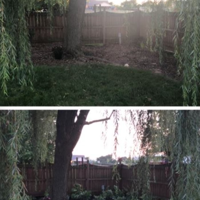 Before and after of existing landscaping