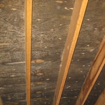 Mold Before