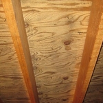 Mold After