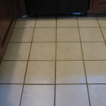 Before Cleaning
