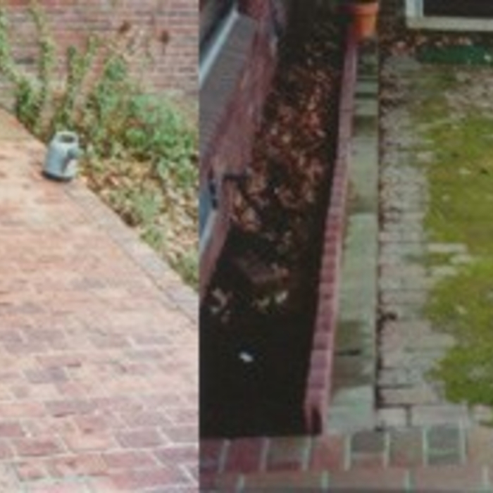 Additional Photos