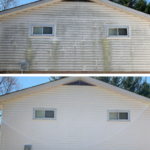 Mold, Mildew, and algae completely eradicated from home's siding.