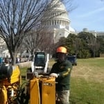 Working at the Capital