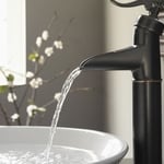 New Bathroom Faucet